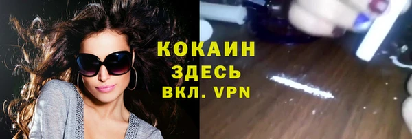 мяу мяу мука Арсеньев