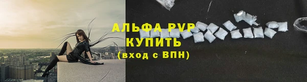стаф Абдулино