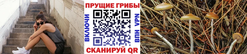 Псилоцибиновые грибы мухоморы  Уссурийск 